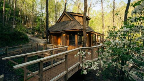 The Elm in Treehouse Grove at Norton Creek Gatlinburg