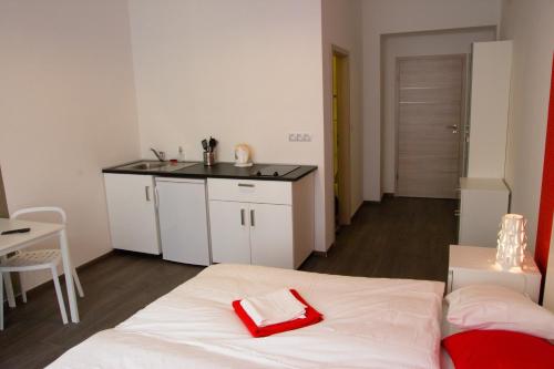 Budget Apartment – Prague, NY
