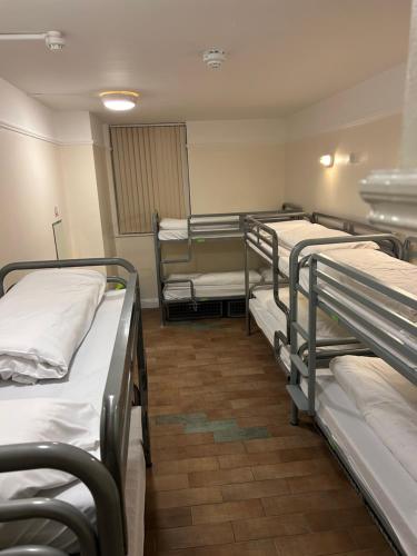 Gogartys Temple Bar Hostel - image 2