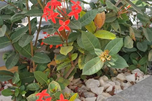 Résidence Schilo - appartement équipé avec piscine privée et rooftop