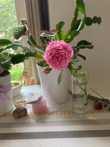 VILLA BRUNEGG Leoben GÖSS VILLA BRUNEGG Leoben GÖSS