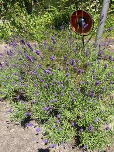 VILLA BRUNEGG Leoben GÖSS VILLA BRUNEGG Leoben GÖSS