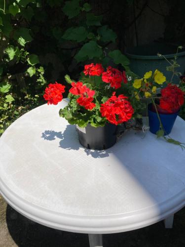 VILLA BRUNEGG Leoben GÖSS VILLA BRUNEGG Leoben GÖSS