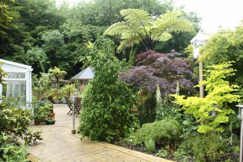 The Waterwheel - image 8