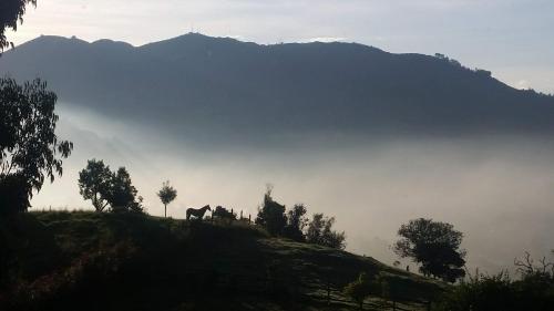 Casa Índigo Tabio