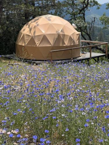 Glamping Dome 1 - 10 minutes from Kings Canyon