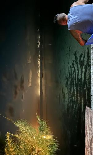 外観, Teraupoo Lodge Chalet in ハウミ