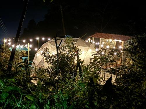 Luz de Luna Glamping