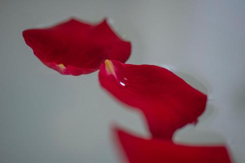 合肥银泰君亭酒店