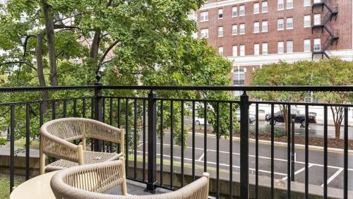 Landing Modern Apartment with Amazing Amenities (ID8416X37) in Norfolk City Center