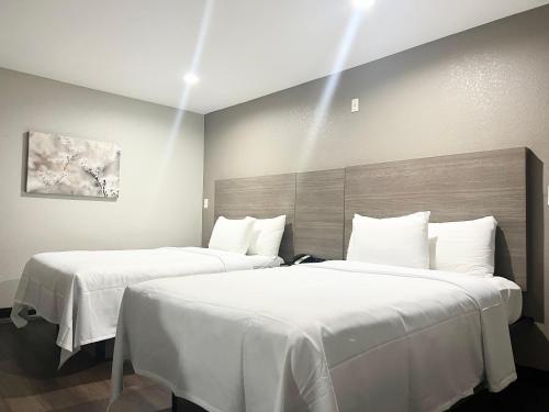 Red Roof Inn & Suites Wildwood FL - image 28