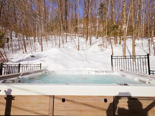 Luxury St-Sauveur Chalet with Swim Spa Close to Ski