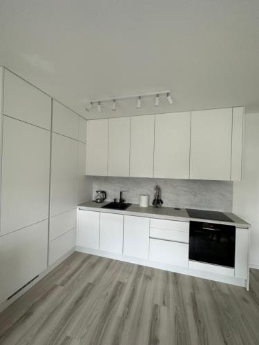 Ein Park Apartment with free parking, Bratislava (Foto 5)
