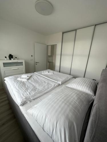 Ein Park Apartment with free parking, Bratislava (Foto 6)