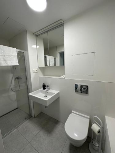 Ein Park Apartment with free parking, Bratislava (Foto 8)