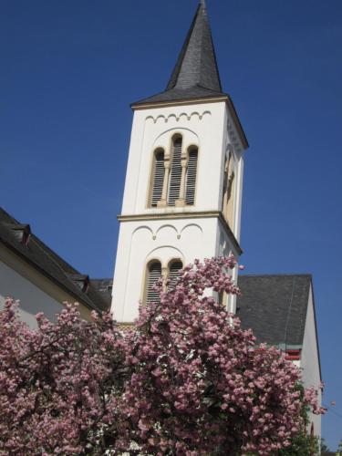 Közeli látványosságok, Übernachten in der Kaiserpfalz (Ubernachten in der Kaiserpfalz) in Ingelheim am Rhein