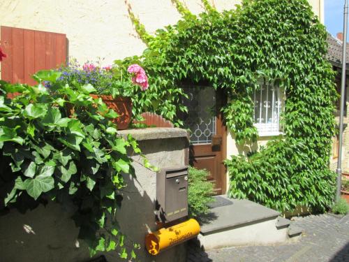 Übernachten in der Kaiserpfalz Übernachten in der Kaiserpfalz