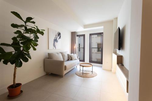 Superior Suite image 6