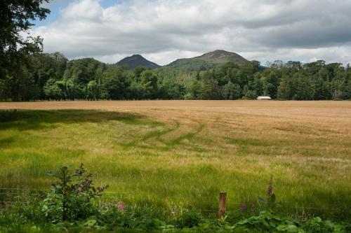 Dryburgh Steading One