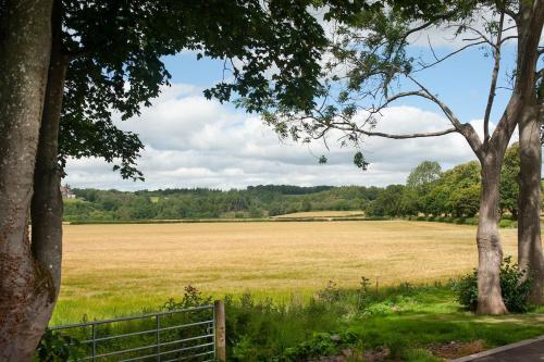 Dryburgh Steading One