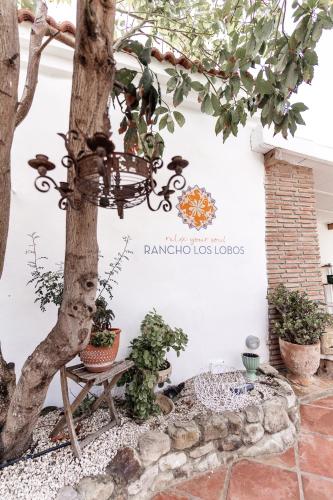 Boutique Hotel Rancho Los Lobos