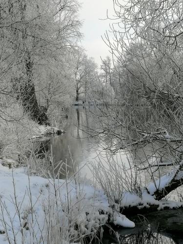 Kilátás, Hof Schwericke in Markische Heide Ot Leibchel