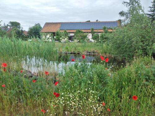 Kert, Hof Schwericke in Markische Heide Ot Leibchel