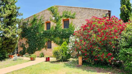 Private country house surrounded by olive trees