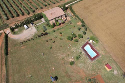 Private country house surrounded by olive trees