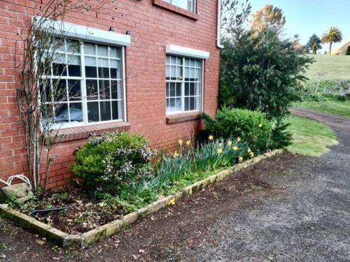 Vista exterior, Orchard 2 Bedroom Apartment in Devonport in Devonport