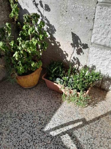 Apartment Zana - image 9