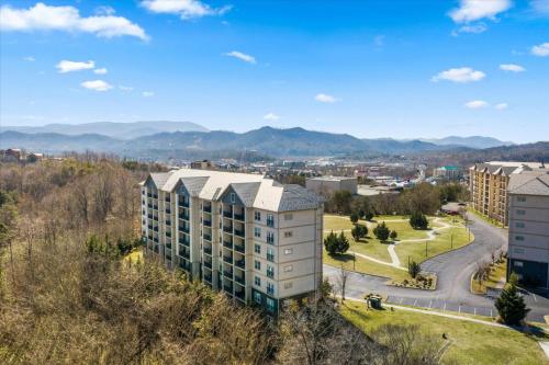 A Bears Hibernation in Pigeon Forge, USA