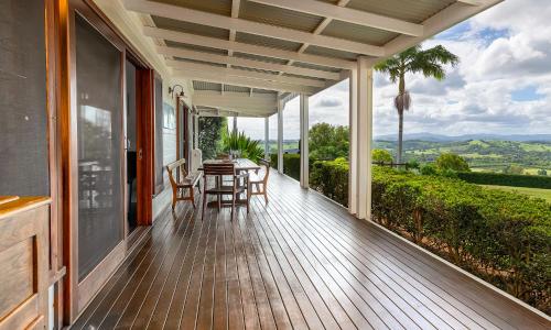 Cedia at Byron Bay Hinterland