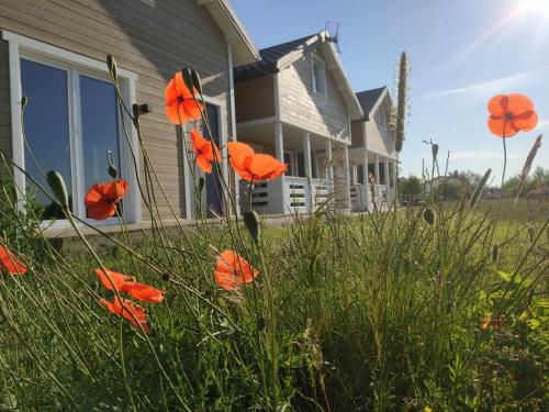 Torfu Sianożęty - Location saisonnière - Sianożęty