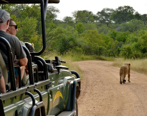 Kruger Safari Lodge