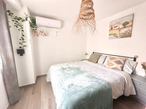 JARA HOME Malaga Centro Room Type - Apartment with Terrace