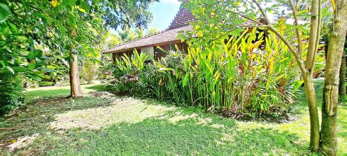 VILLA LE PETIT LEON "Authentic Traditional Wooden House"