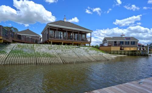 Decoys - image 3