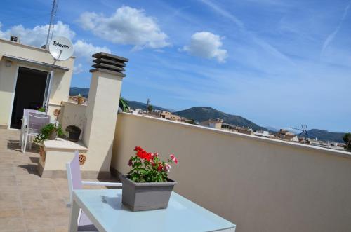 Ideal Property Mallorca - Son Vent Muntanya - 2 2