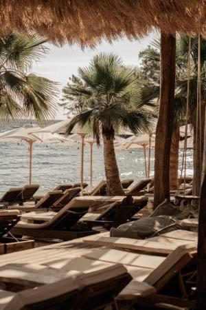 Kohylia by La Scala Beach - image 2