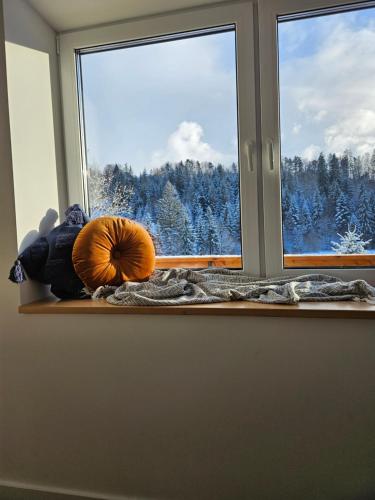 Aleksandria nad Olzą