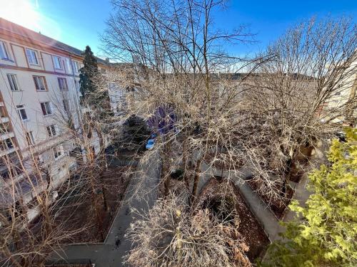 2 Bedrooms Apartment In The Heart Of The City