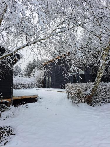 Glyngøre Camping og Hytte ferie - main image