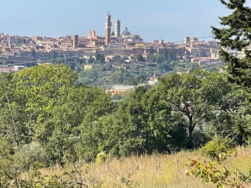 Villa Vignano: vicino Siena centro