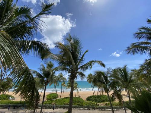 View, Beachfront Luxury 2 Bedroom at Wyndham Rio Mar, PR in Rio Grande