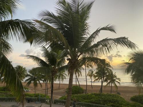 View, Beachfront Luxury 2 Bedroom at Wyndham Rio Mar, PR in Rio Grande