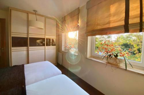 One-Bedroom Apartment image 10