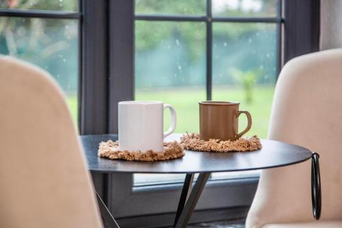 Sapancaminihouse – Sakarya, WI