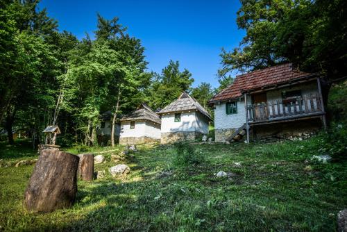 Viesnīcas āriene, Camp Divlja Rijeka in Hum