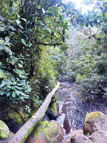 Mirador de la Montaña Glamping